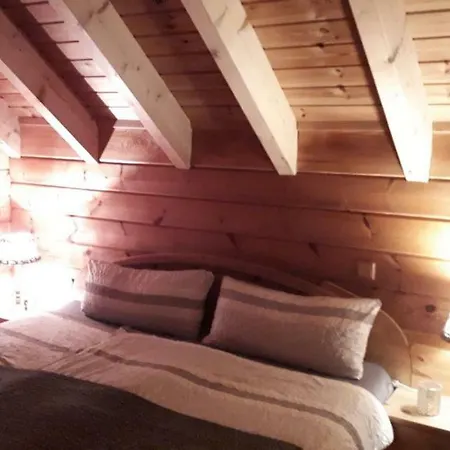 Berg.erleben 公寓 *