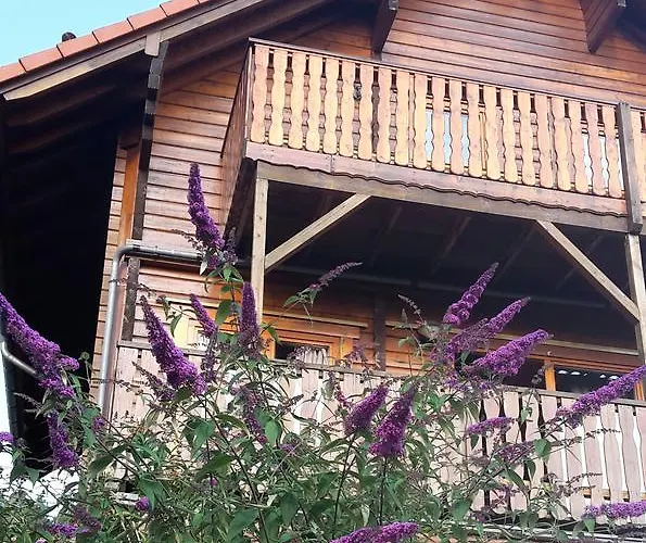 Berg.erleben * Hilders